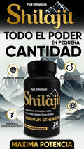 Shilajit Softgels X 30