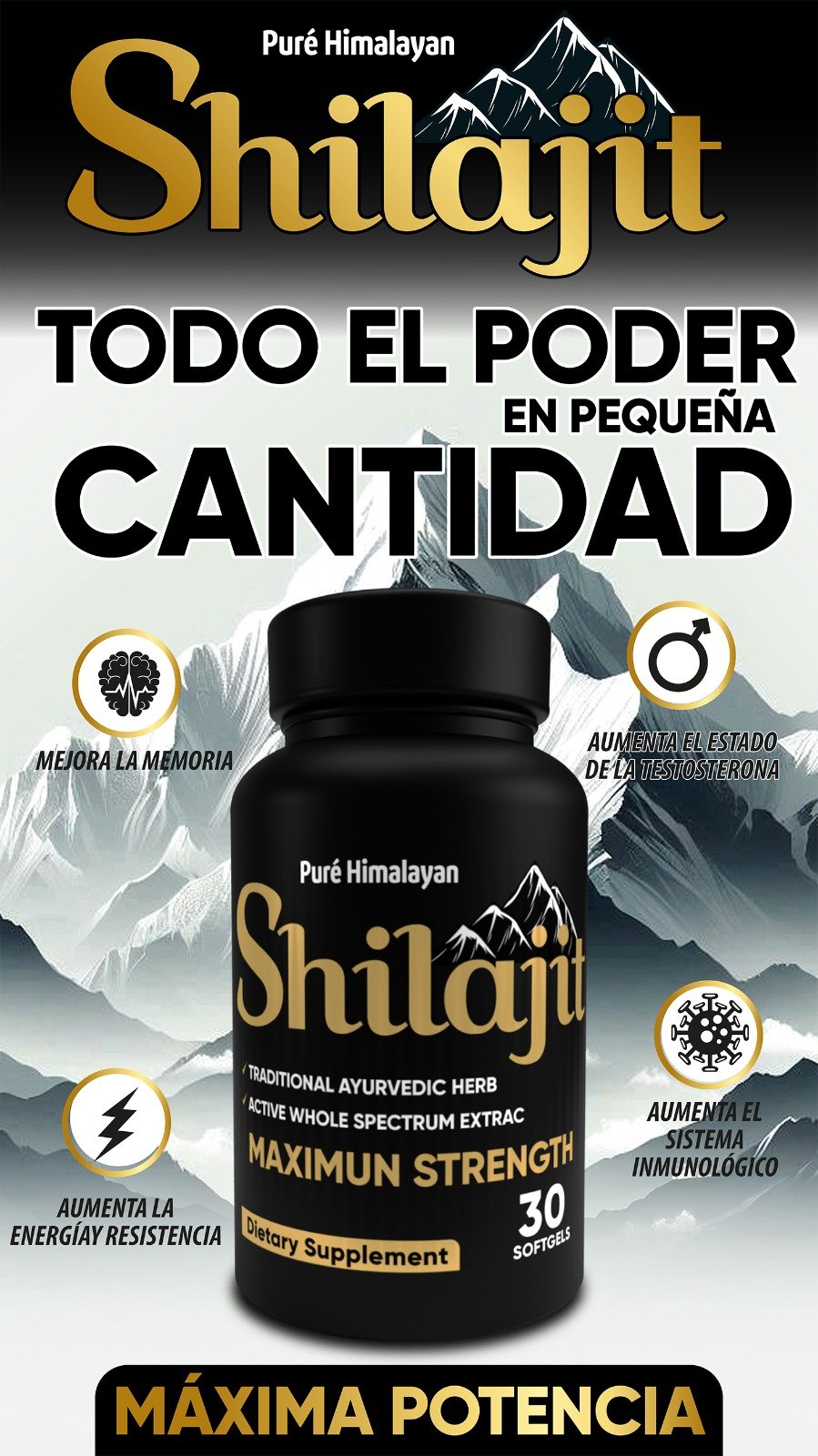 Shilajit Softgels X 30